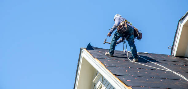 Best Roof Gutter Cleaning  in Hollywood, SC